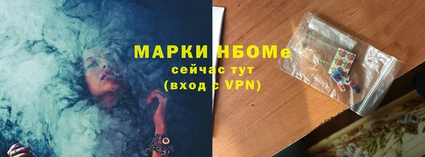 индика Вяземский