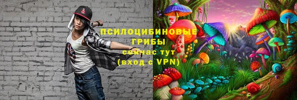 ALPHA-PVP Баксан